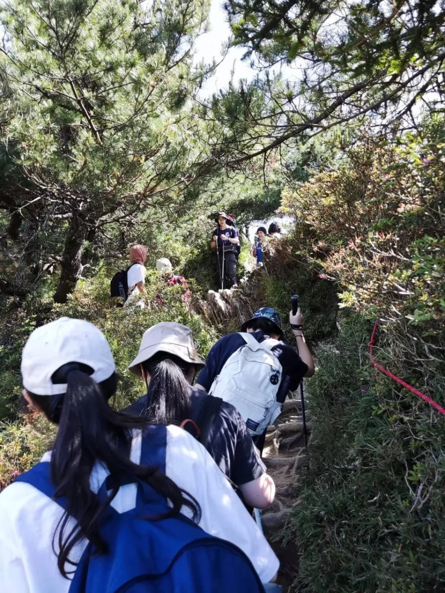 一個流行於國際之間的敏感性